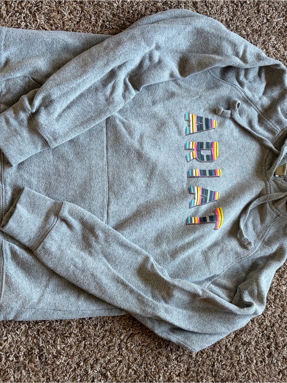 Ariat Gray Hoodie with Multicolor Striped Logo